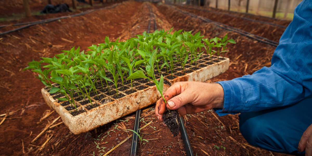 Estabelecimentos comerciais agropecuários devem se cadastrar na Agrodefesa até 31 de dezembro