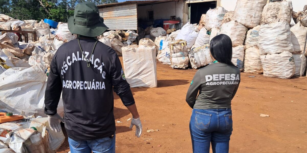 Agrodefesa apreende mais de 10 mil embalagens vazias de agrotóxicos armazenadas de forma irregular em Trindade e Paraúna