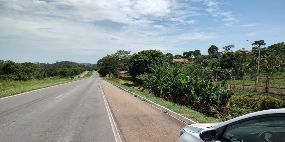 Agrodefesa alerta para os riscos do cultivo de bananeiras nas faixas de domínio de rodovias goianas