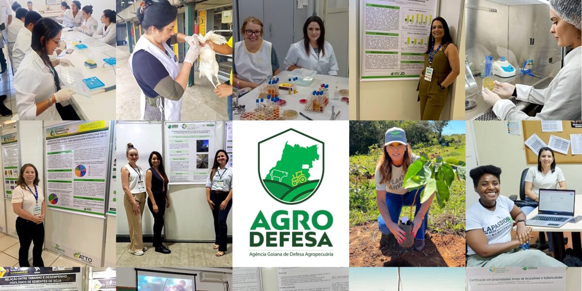 Dia Internacional das Mulheres e Meninas na Ciência: Agrodefesa destaca papel feminino na pesquisa agropecuária