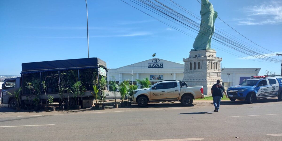 Agrodefesa apreende 350 mudas ilegais em Anápolis e reforça proibição ao comércio irregular