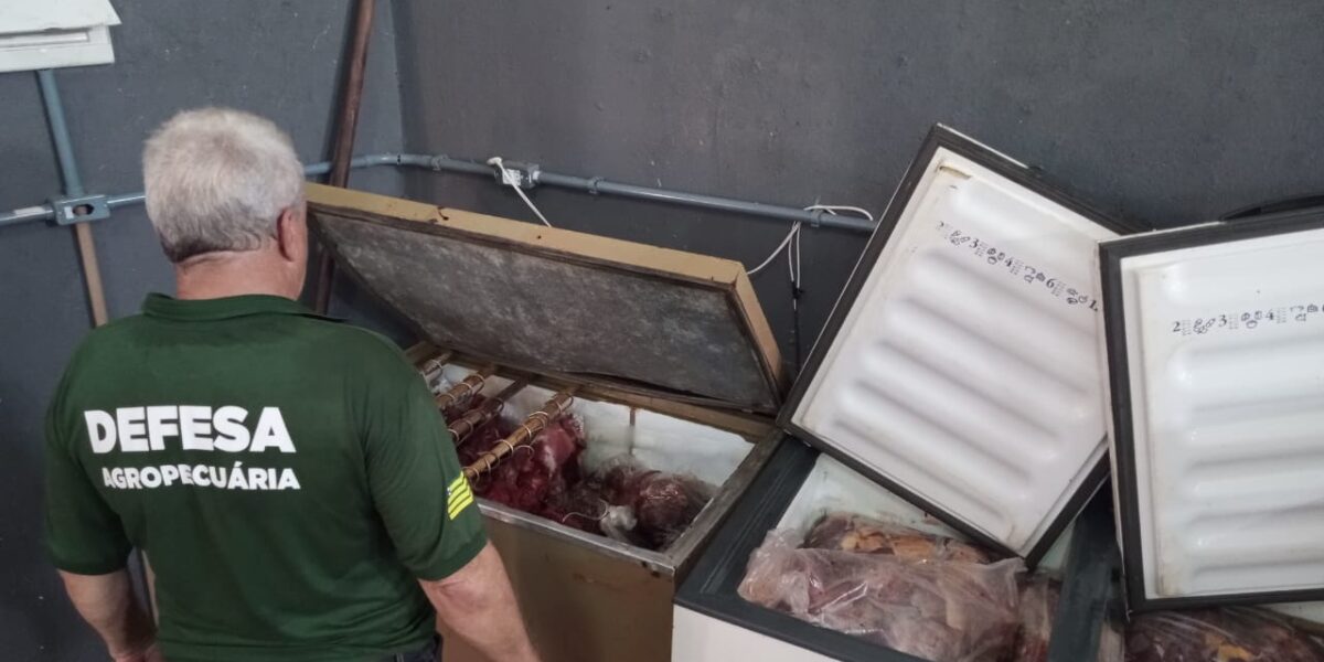 Agrodefesa e Polícias Civil e Militar fecham fábrica clandestina de produtos cárneos em Anápolis