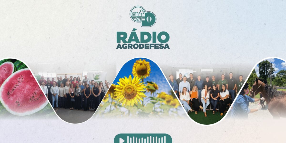 3ª edição da Rádio Agrodefesa destaca avanços de Goiás na exportação de cucurbitáceas e novo projeto de fortalecimento regional