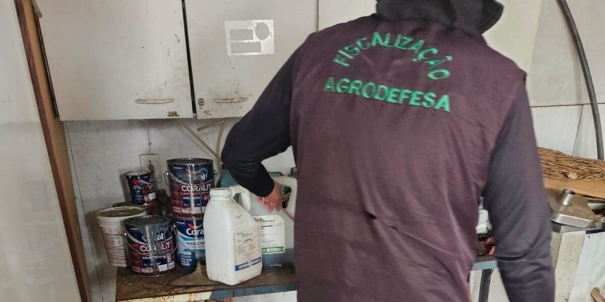 Interditado abatedouro clandestino de suínos em Aragoiânia