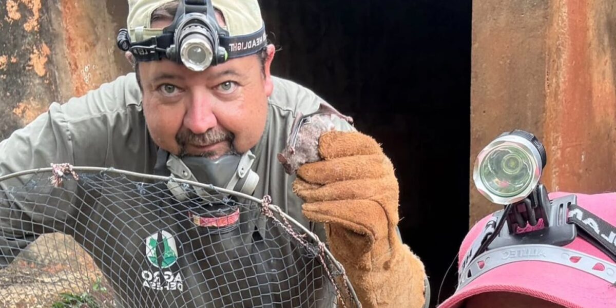 Produtores goianos são alertados sobre riscos da raiva dos herbívoros na divisa com MG e MS