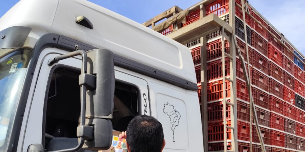 Goiás conclui ações emergenciais contra foco de gripe aviária