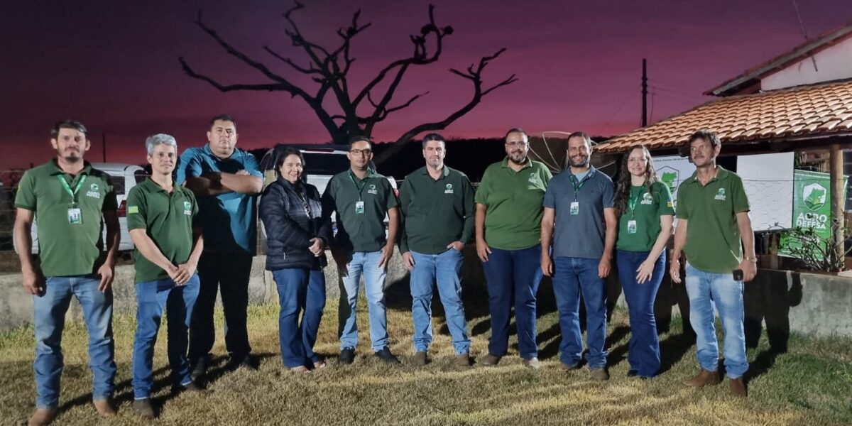 Agrodefesa intensifica ações de captura e controle de morcegos hematófagos em Carmo do Rio Verde e Silvânia