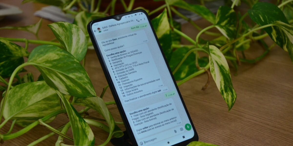 Chatbot da Agrodefesa no Whatsapp, Davi passa a receber notificações de pragas, doenças e irregularidades