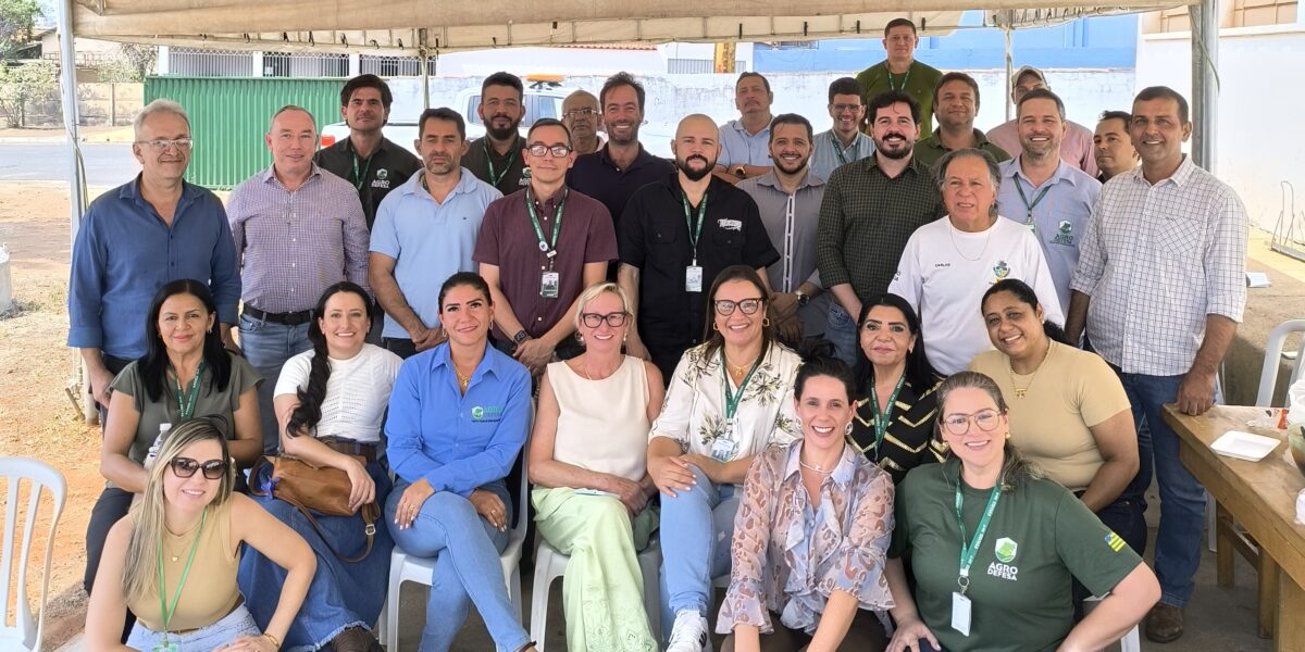 Conexão Regional valoriza integração entre equipes em São Luís de Montes Belos e Iporá