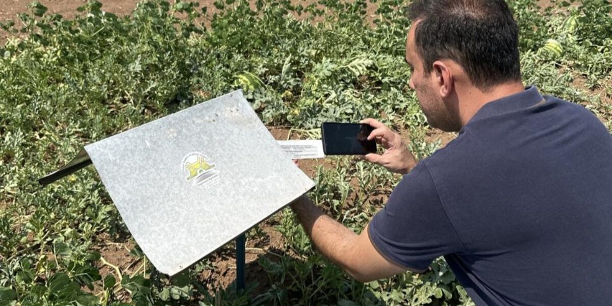 Com apoio do Governo de Goiás, Itapirapuã é autorizado a exportar melancia, melão e abóbora