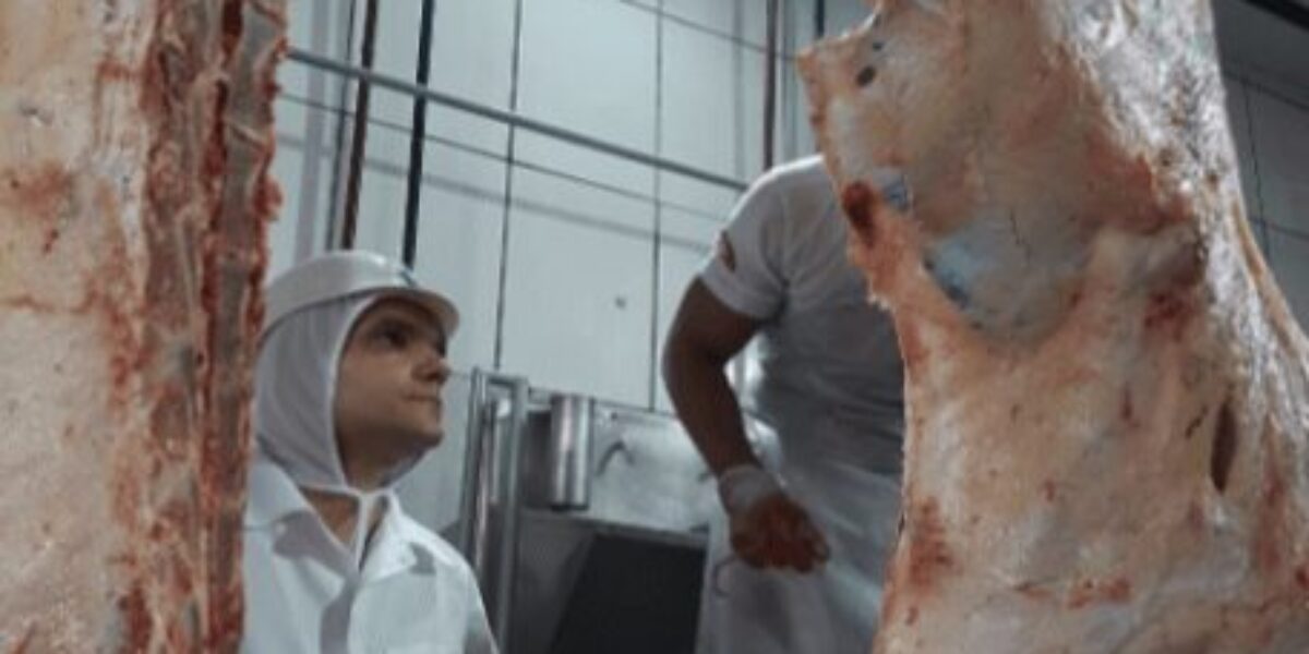 Agrodefesa institui regras para programas de autocontrole em produtos de origem animal