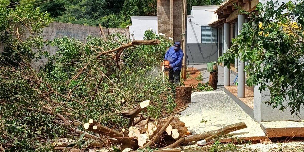 Após identificar psilídeos contaminados, Agrodefesa intensifica ações contra HLB na região de Aporé