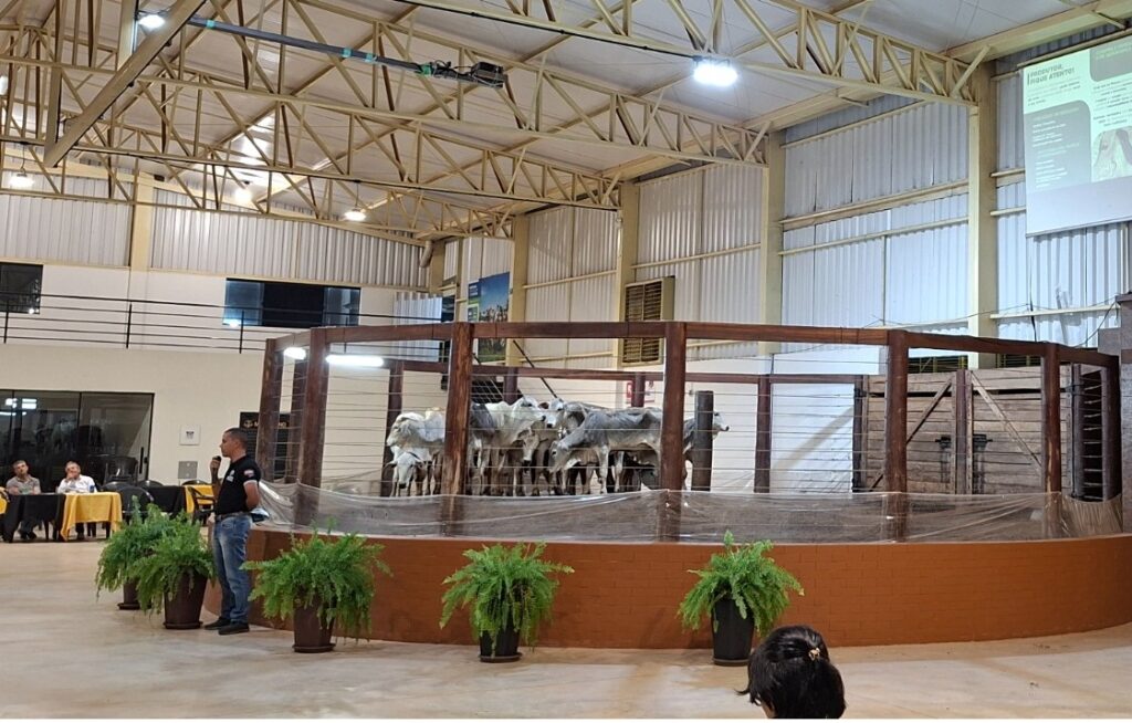 Agrodefesa abre cadastro para eventos agropecuários de 2026 em Goiás; prazo vai até 31 de dezembro de 2025