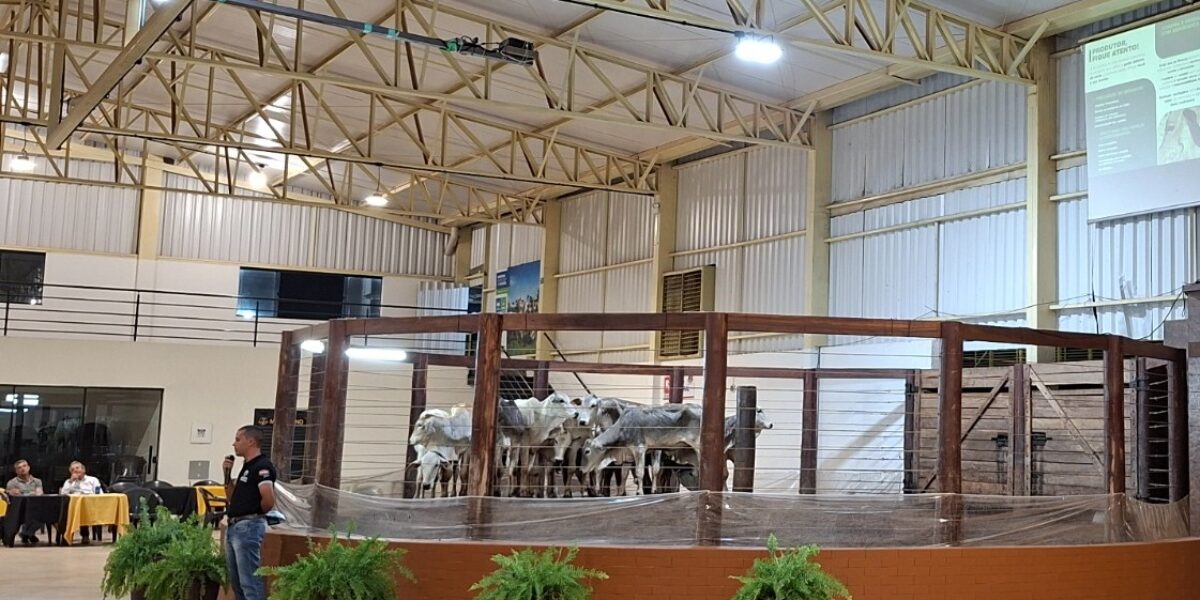 Agrodefesa abre prazo para cadastro de eventos agropecuários previstos para 2026 em Goiás