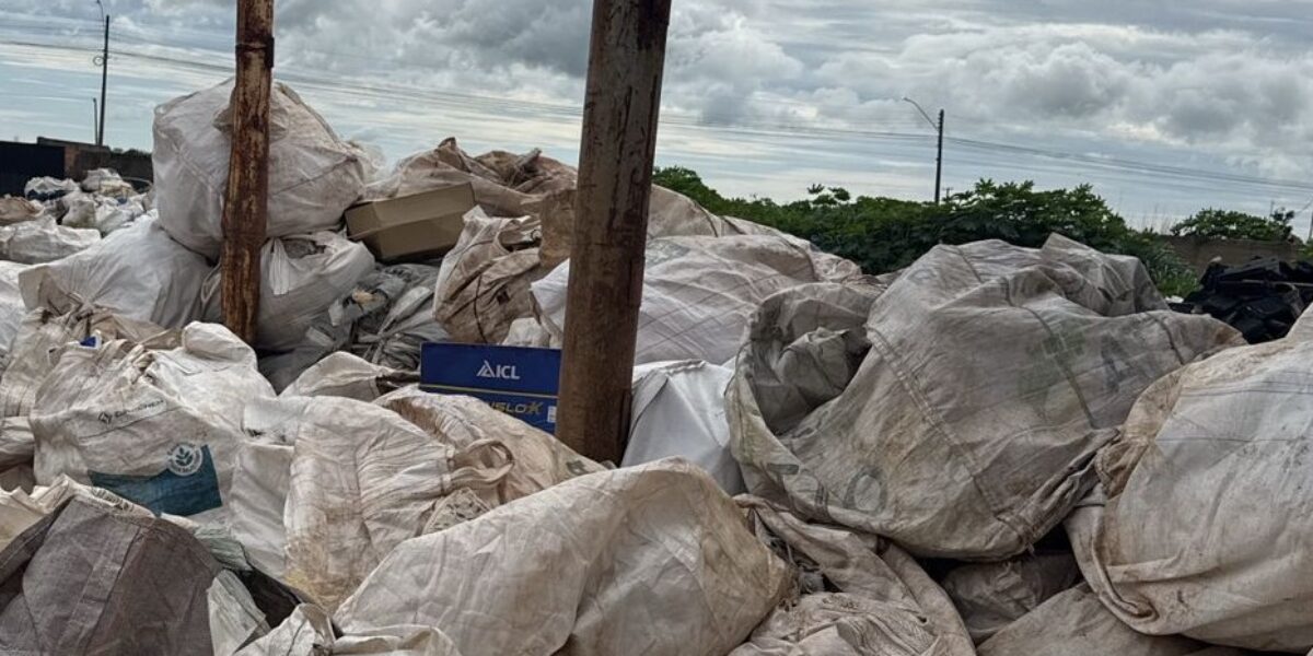 Agrodefesa apreende cerca de 10 toneladas de embalagens de agrotóxicos irregulares em Cristalina (GO)