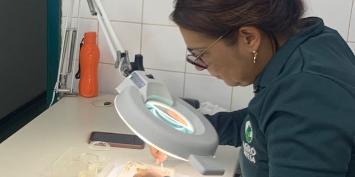 Auditoria atesta qualidade técnica do Laboratório de Análise de Sementes da Agrodefesa