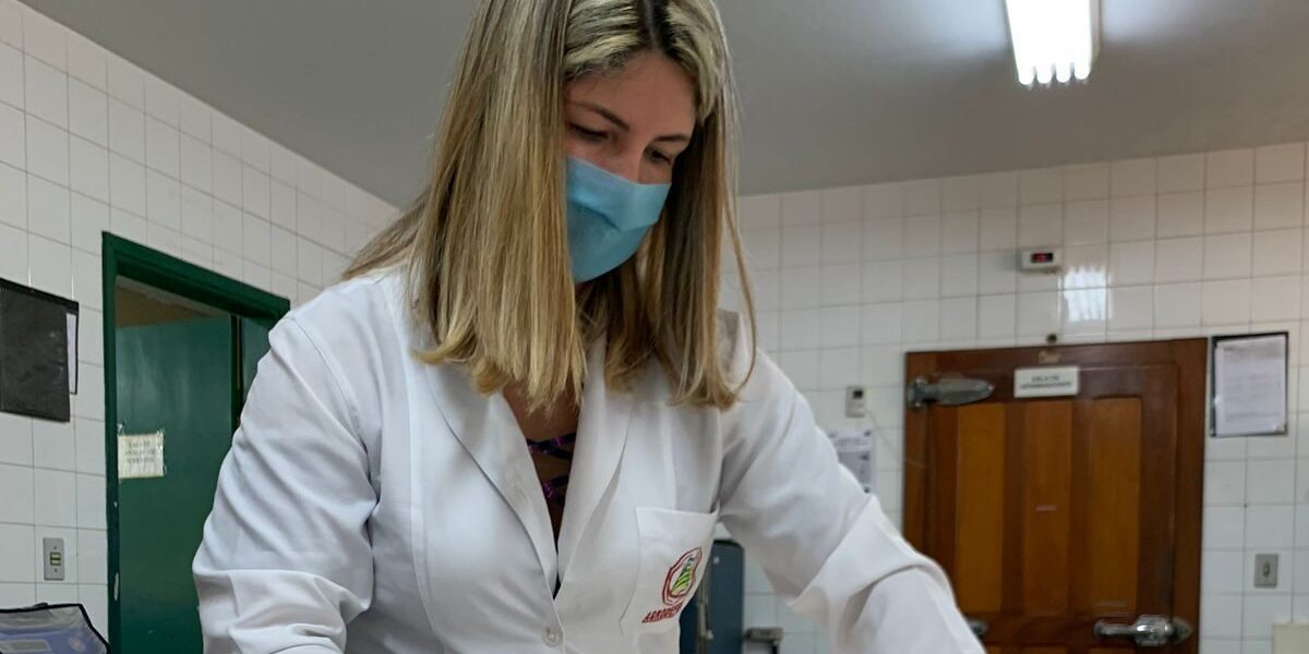 Laboratório de Análise de Sementes da Agrodefesa é aprovado em avaliações nacionais de qualidade