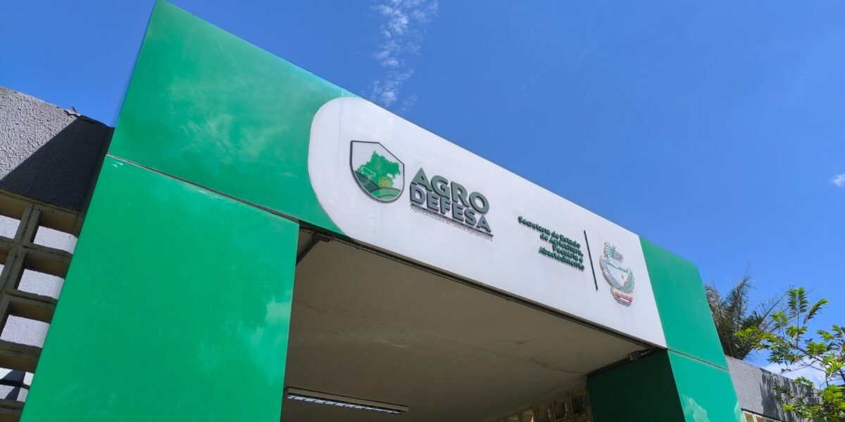 Segunda chamada: Agrodefesa convoca mais quatro candidatos classificados no Processo Seletivo Simplificado nº019/2024
