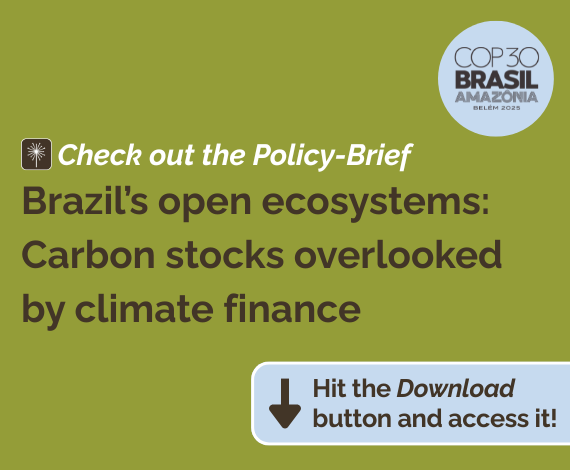 Brazil’s open ecosystems: Carbon stocks overlooked by climate finance