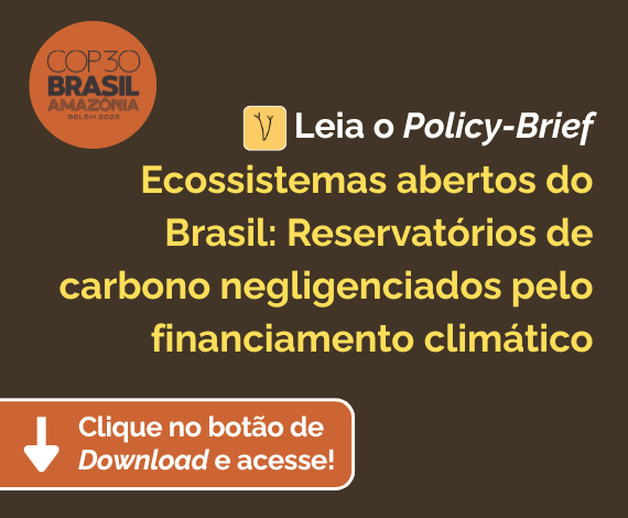 Ecossistemas abertos do Brasil: Reservatórios de carbono negligenciados pelo financiamento climático