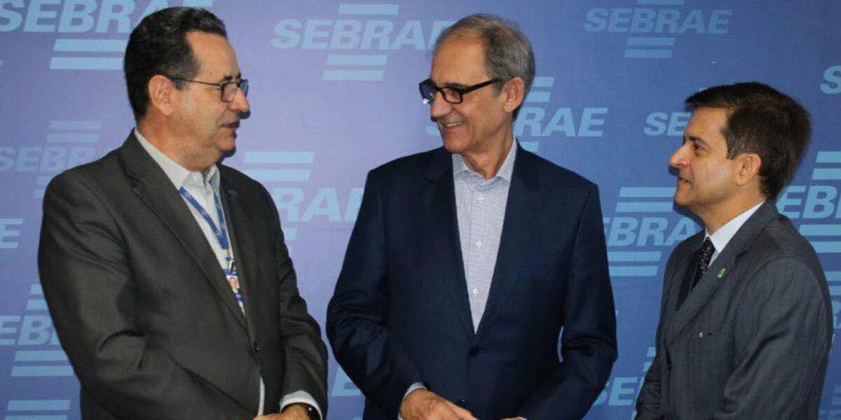 Governo de Goiás e Sebrae buscam parceria para reduzir burocracia em negócios