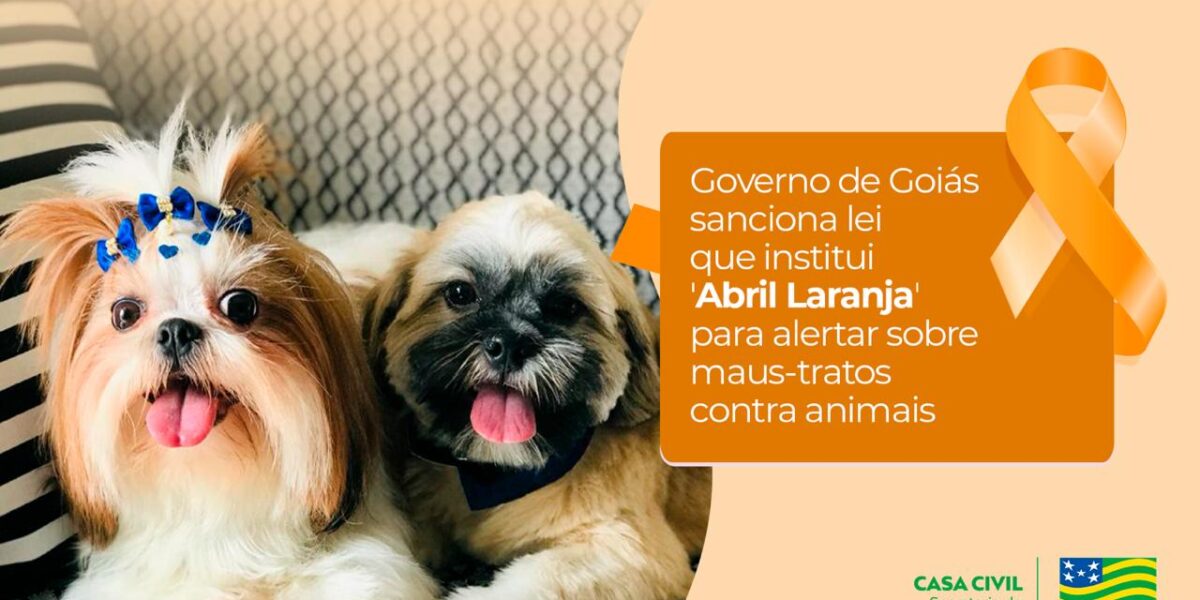 Governo de Goiás sanciona lei que institui Abril Laranja para alertar sobre maus-tratos contra animais