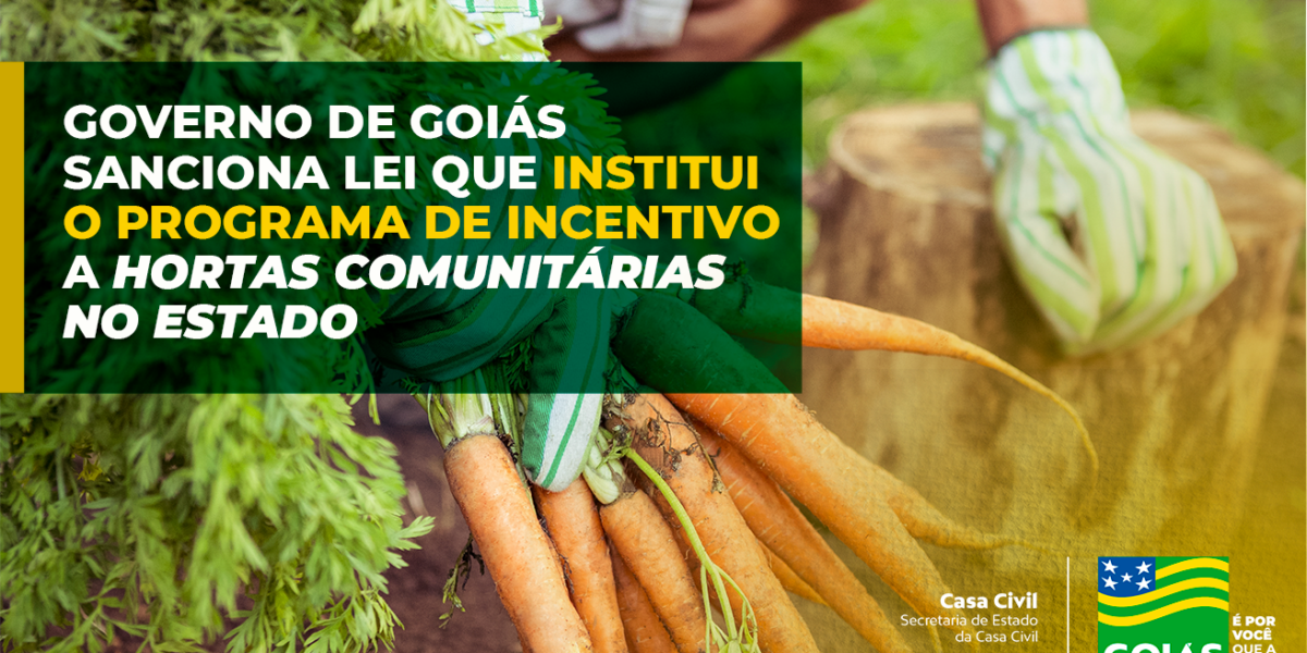 Governo de Goiás sanciona lei que institui o programa de incentivo a hortas comunitárias em Goiás