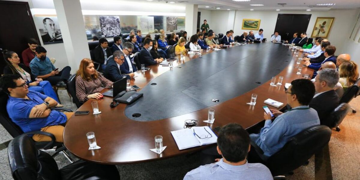 Grupo Especial de Planejamento e Inovação realiza primeira reunião para discutir ações do segundo mandato do governador Ronaldo Caiado