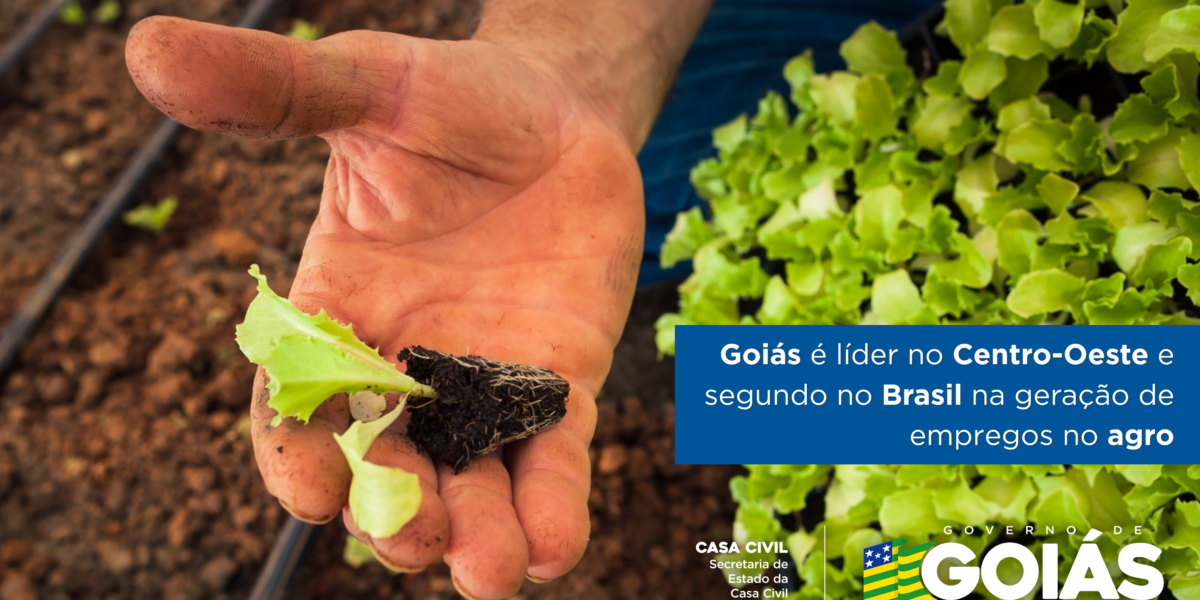 Goiás é líder no Centro-Oeste e segundo no Brasil na geração de empregos no agro