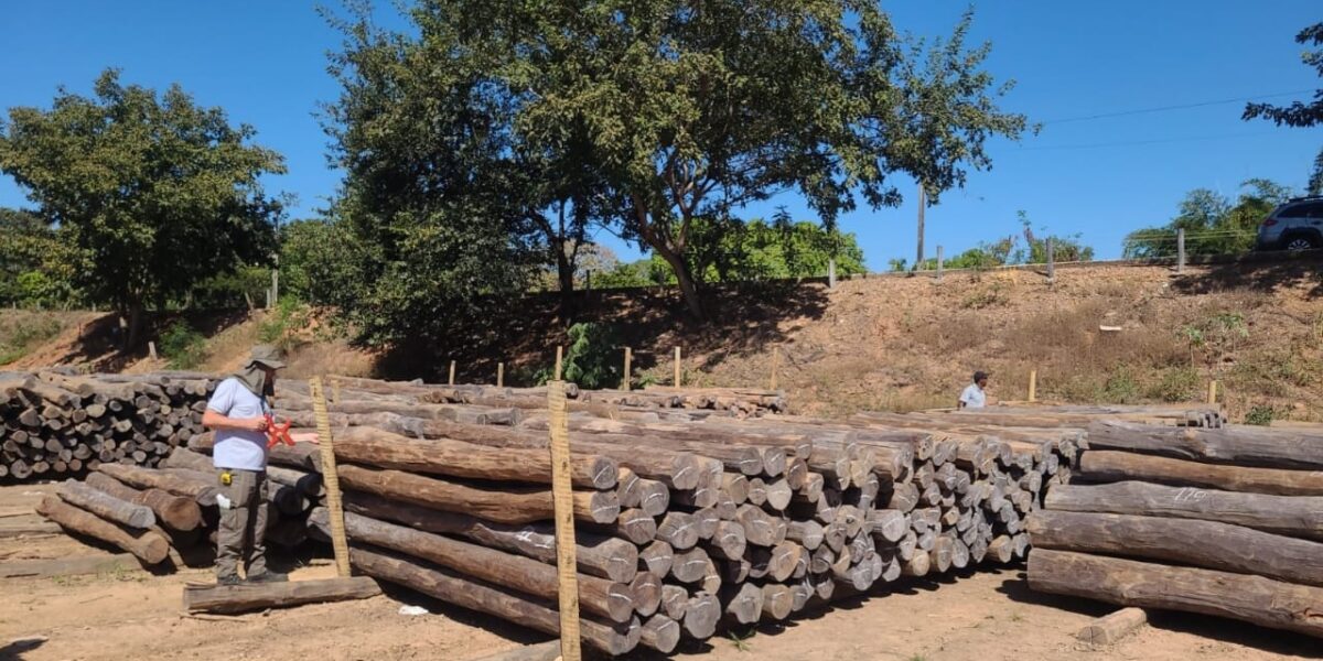 Semad aplica quase R$ 2 milhões em multas por madeira ilegal neste último trimestre