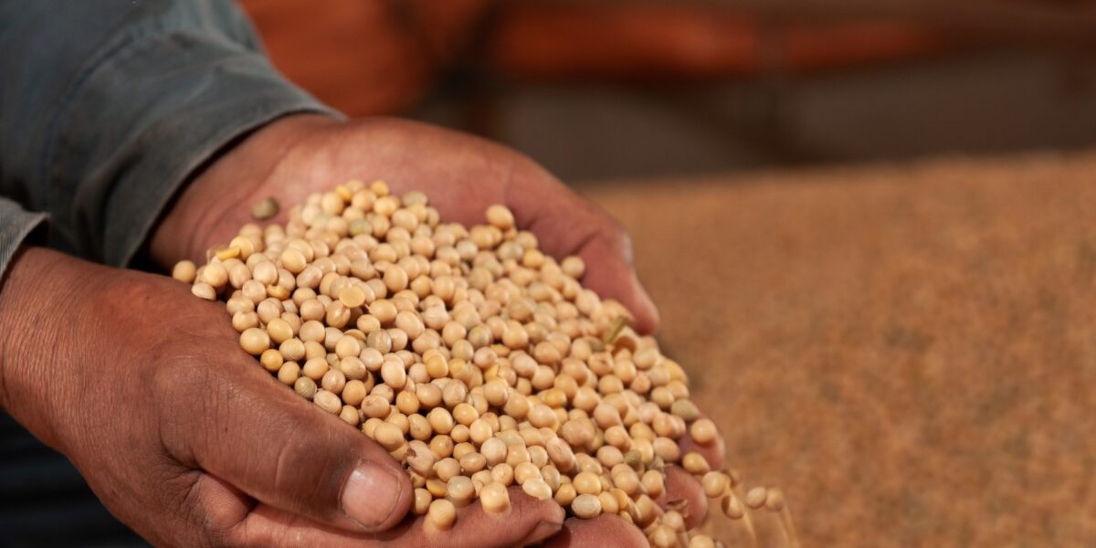 Complexo soja responde por 73% das exportações do agro goiano no 1º semestre de 2023