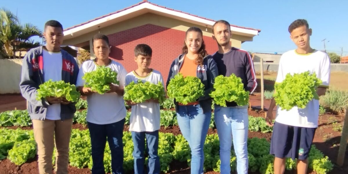 Horta nas escolas: Projetos de cultivo contribuem para alimentação saudável de estudantes da rede estadual