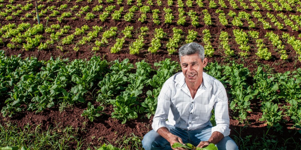 Governo de Goiás divulga lista dos agricultores aprovados no Programa de Aquisição de Alimentos 2023