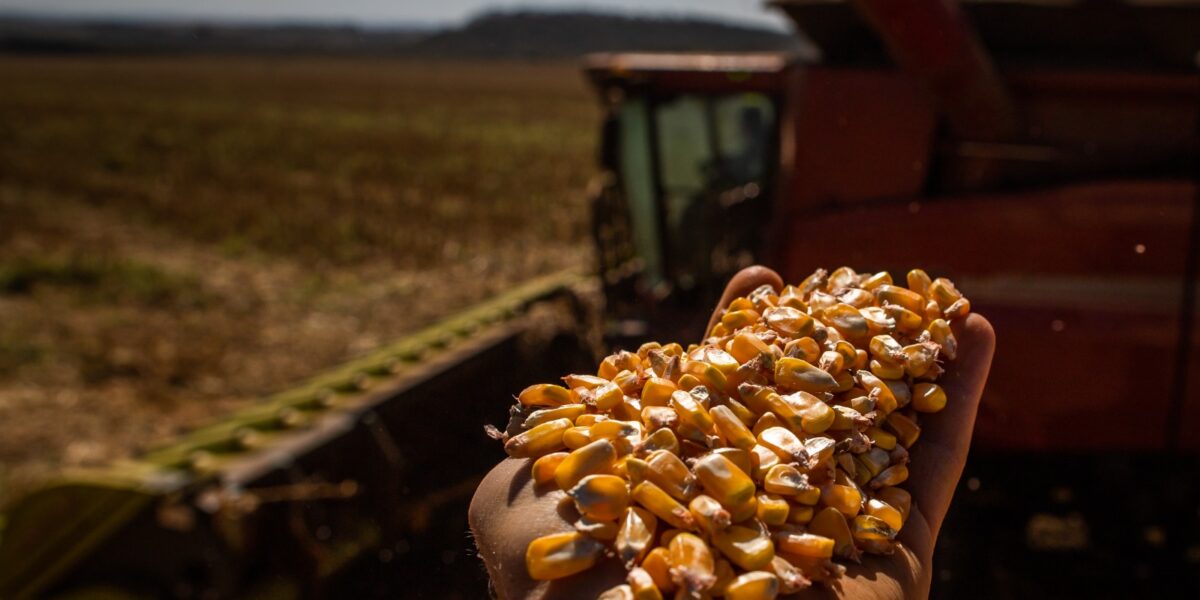 Goiás bate recorde na produção de grãos na safra 2022/2023