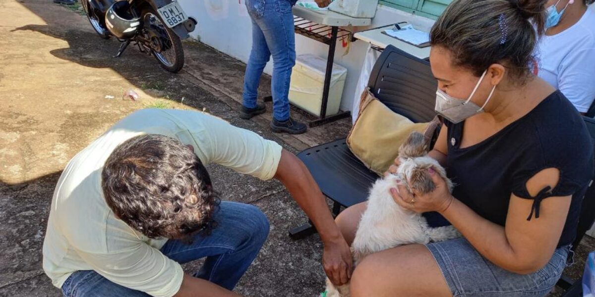 Governo de Goiás convoca população para vacinar cães e gatos contra raiva