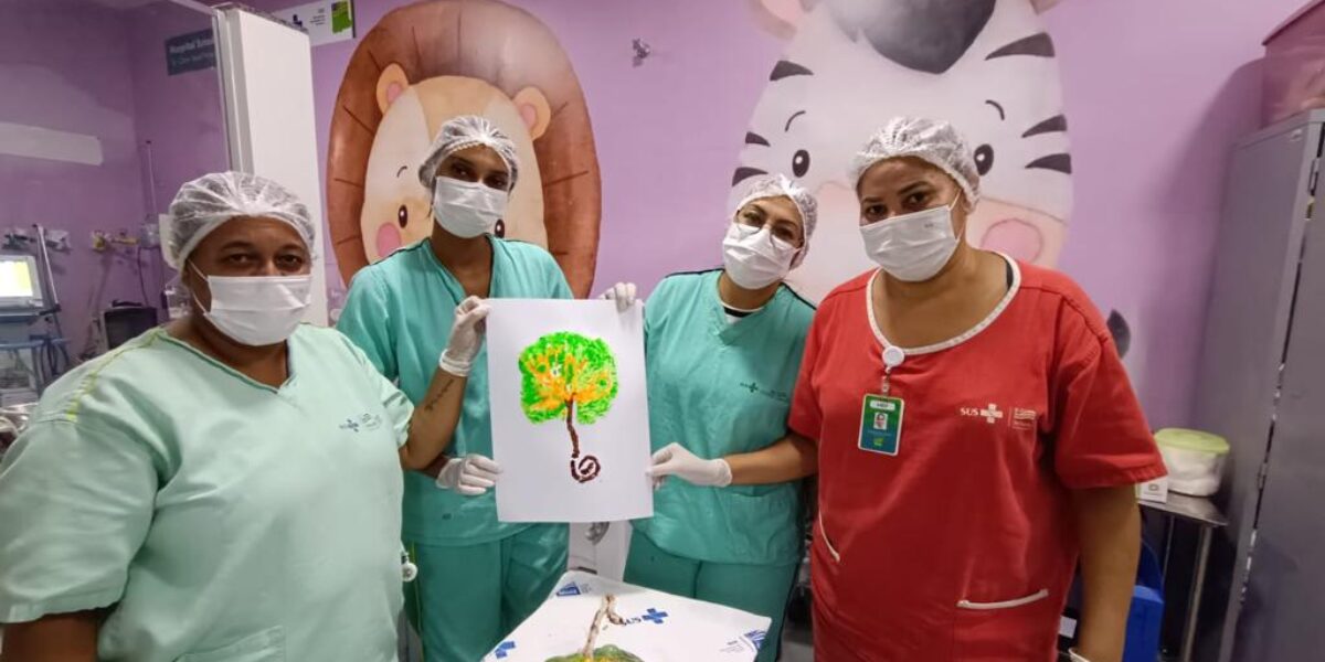 Hospital Estadual de Formosa celebra mil partos humanizados em 2023