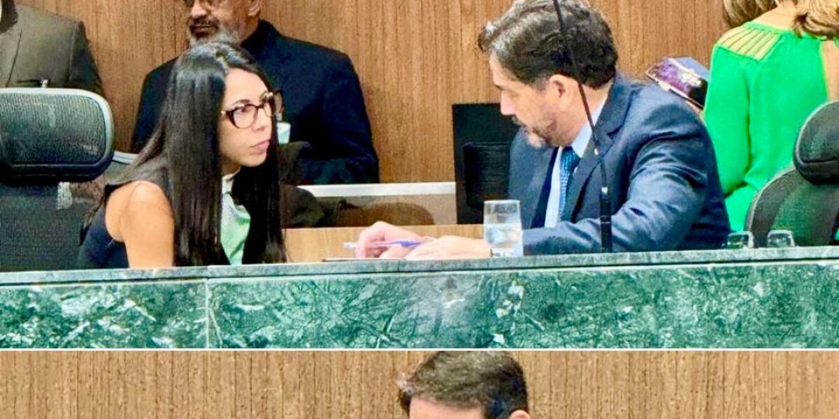 Emília Munhoz Gaiva acompanhou o andamento da Comissão de Constituição, Justiça e Redação (CCJ) e da sessão deliberativa em plenário da na Assembleia Legislativa de Goiás (Alego)