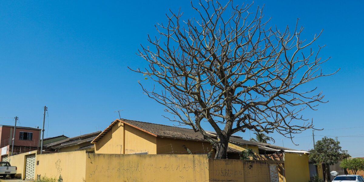 GoiásFomento anuncia venda direta de 21 imóveis com valores a partir de R$ 38 mil