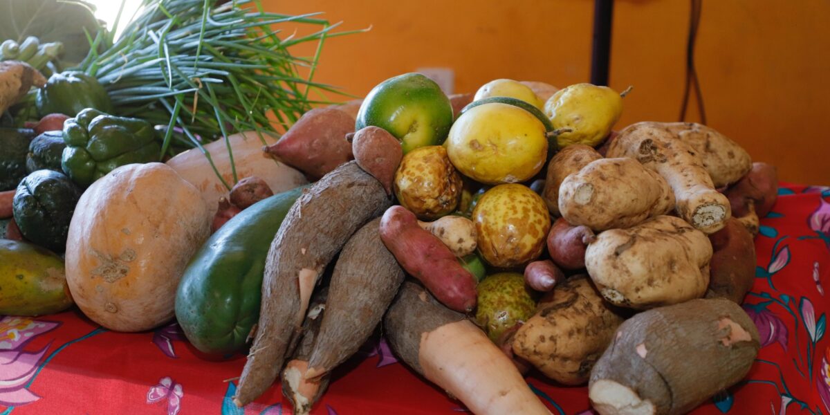 Governo de Goiás amplia lista de produtos comercializados no PAA Quilombola