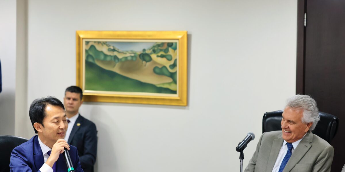 Goiás e Japão avançam em cooperação para exploração e processamento de terras raras