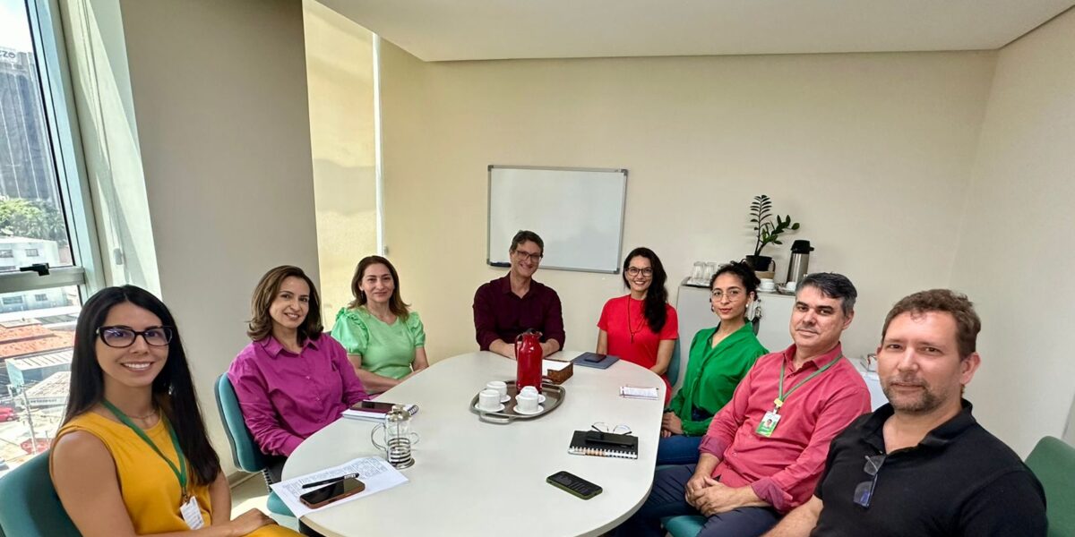 Subsecretária de Legislação e Atos Oficiais conduz reunião mensal com gerentes da Casa Civil