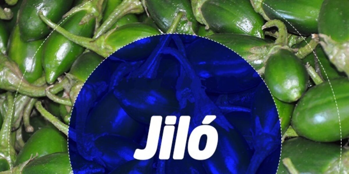 Veja a Cotação dos Preços no Dia de Hoje