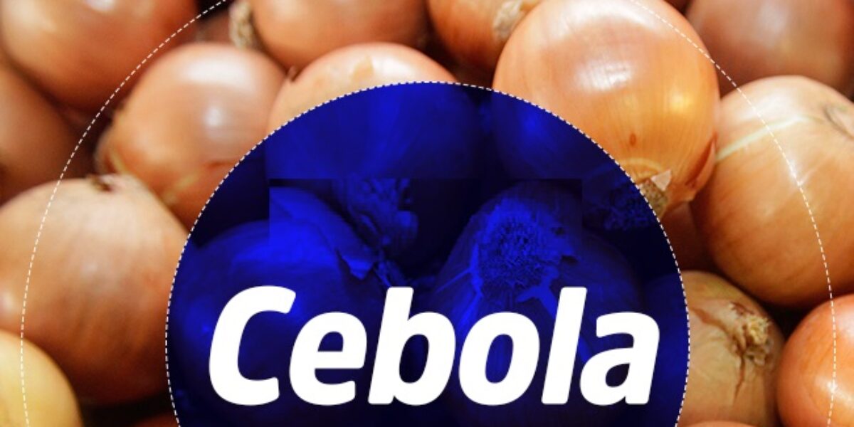 Veja a Cotação dos Preços no Dia de Hoje