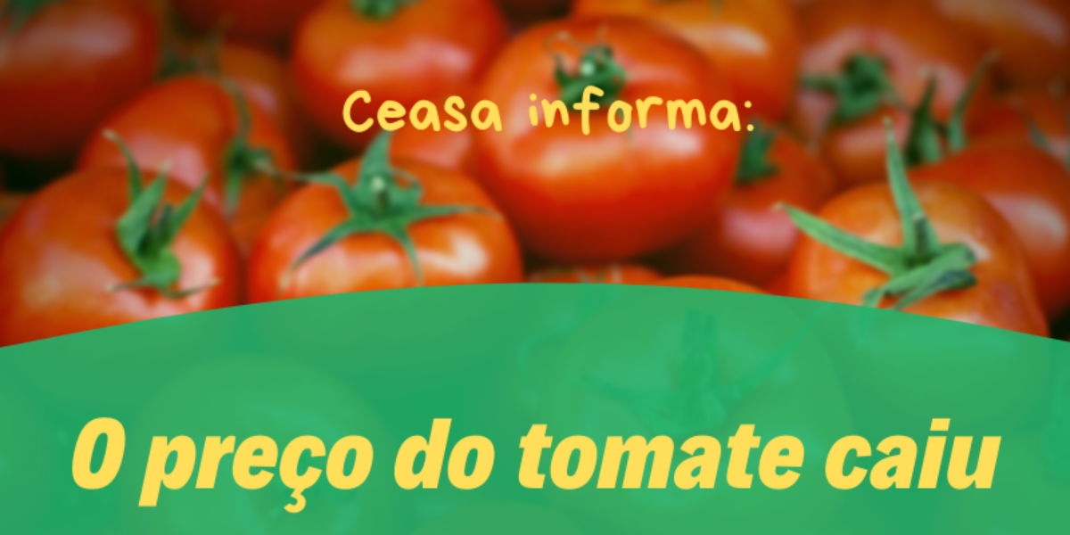 O tomate sofreu queda de preços na Ceasa Goiás