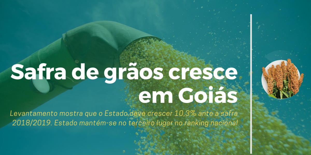 Conab estima crescimento da safra de grãos em Goiás
