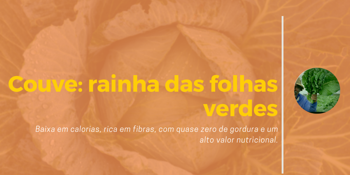 Considerada o alimento que mais contém vitamina C, é barata e fácil de encontrar o ano inteiro.