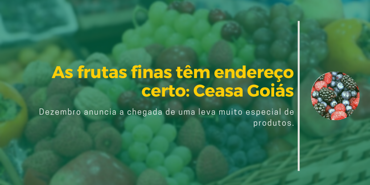 Na Ceasa/GO as frutas finas têm endereço certo: o GP1, GP6 e GP7