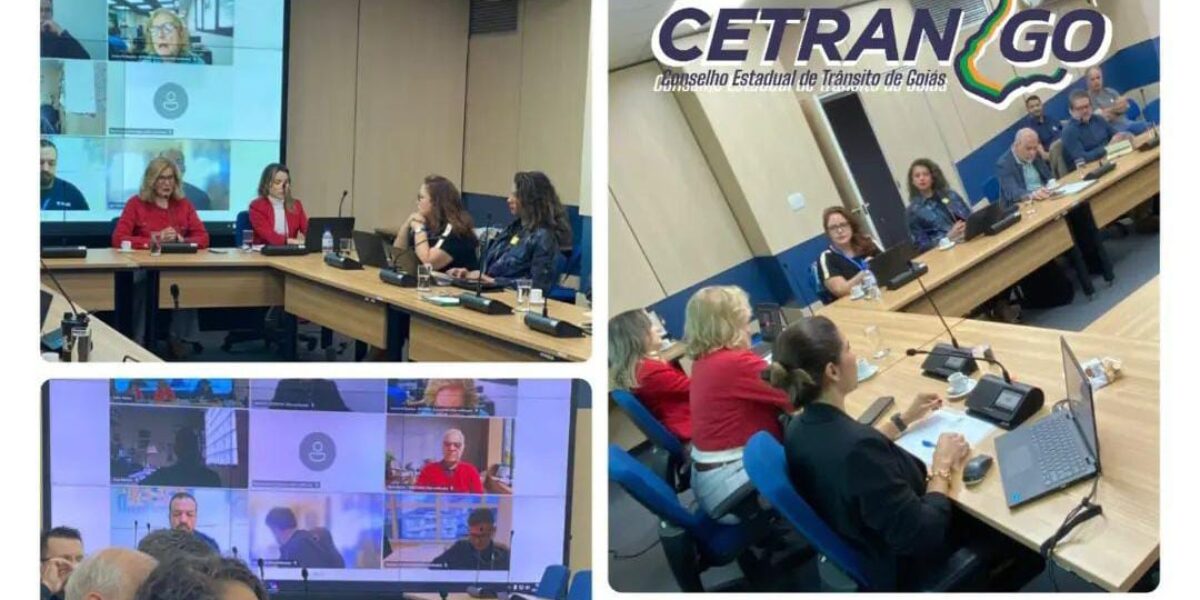 A Campanha educativa ganha novas ideias na 9ª Reunião Ordinária da CTPNAT com participação da Dra. Nayara Coimbra, Presidente do CETRAN/GO.