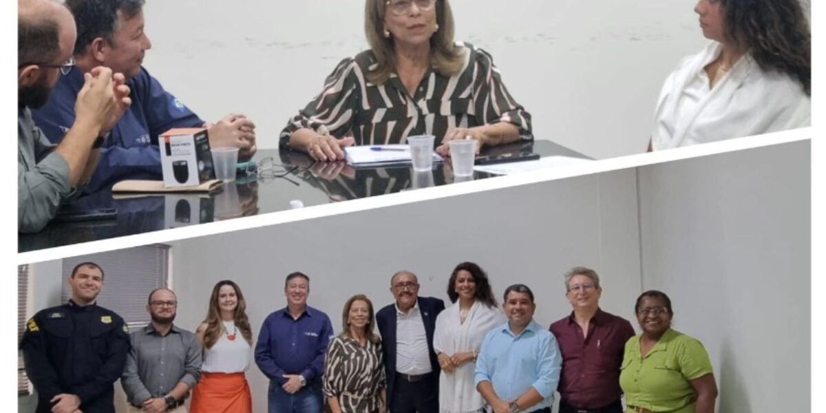 Força do Centro-Oeste: CETRAN/GO e FOCOTRAN debatem diretrizes do PNATRANS em encontro decisivo.