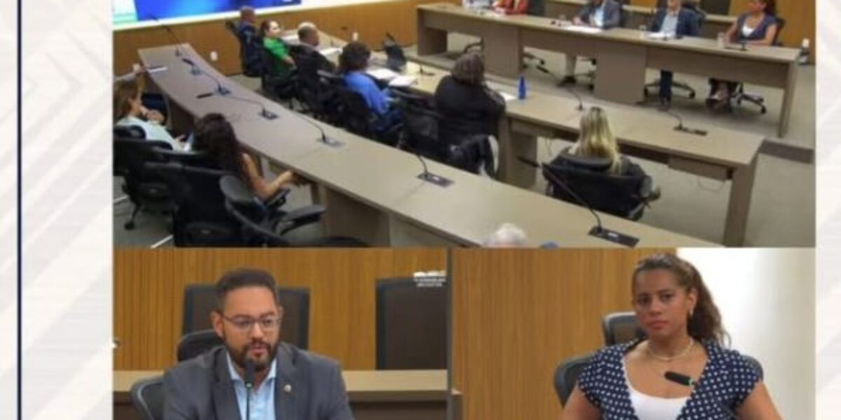 Audiência Pública sobre o Estatuto dos Pedestres.